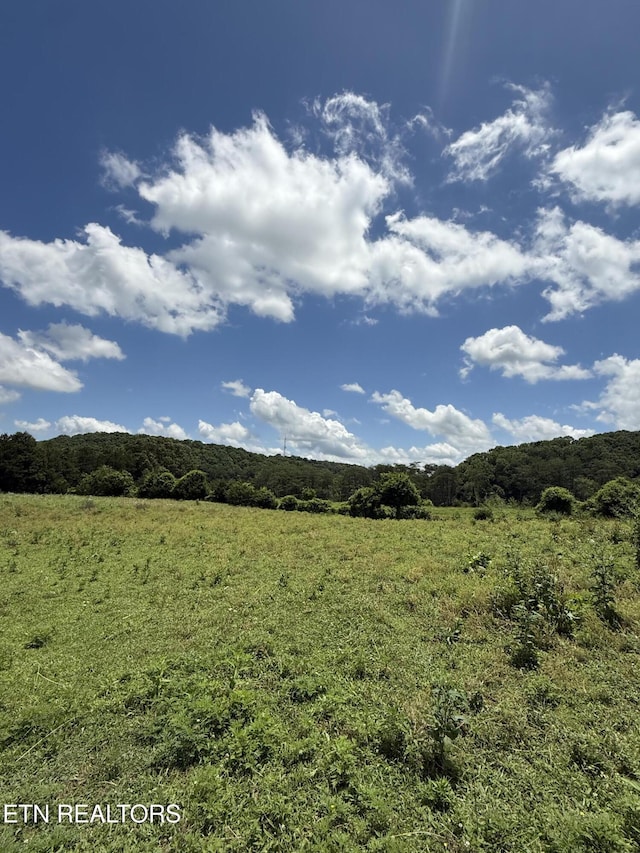 0 Newman Ln, Blaine, TN 37709