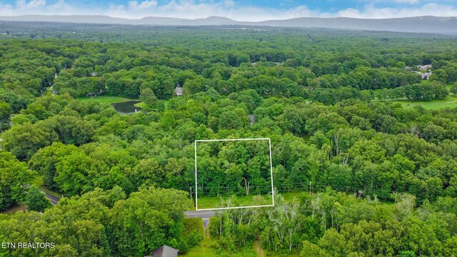 7114 Big Horn Dr, Crossville, TN 38572 - photo 6