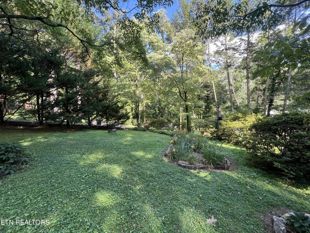 5212 Rellim Rd, Knoxville, TN 37914 - photo 3