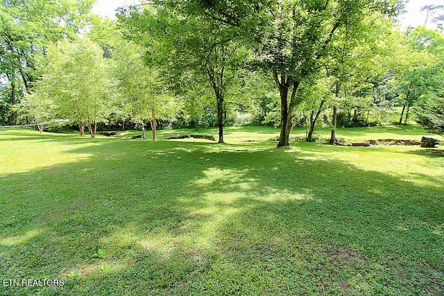 1964 Goose Gap Rd, Sevierville, TN 37876 - photo 2