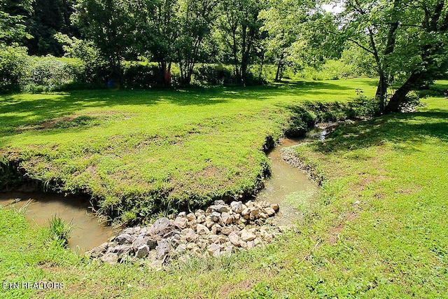 1964 Goose Gap Rd, Sevierville, TN 37876 - photo 3