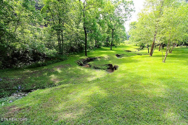 1964 Goose Gap Rd, Sevierville, TN 37876 - photo 4