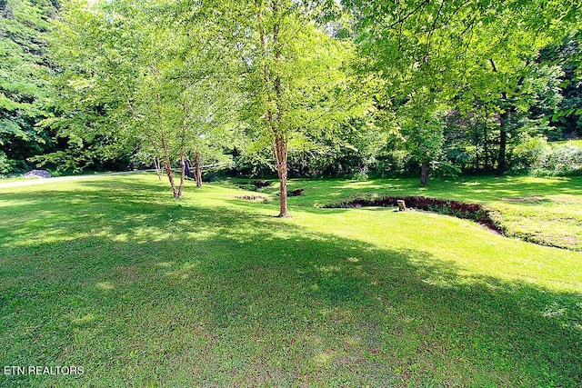 1964 Goose Gap Rd, Sevierville, TN 37876 - photo 34