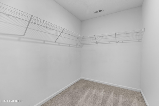 7432 Game Bird St, Corryton, TN 37721 - photo 13