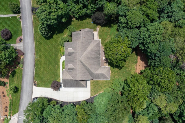 123 Turtle Cove Ct, Lenoir City, TN 37772 - photo 3