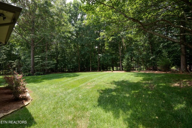 123 Turtle Cove Ct, Lenoir City, TN 37772 - photo 31
