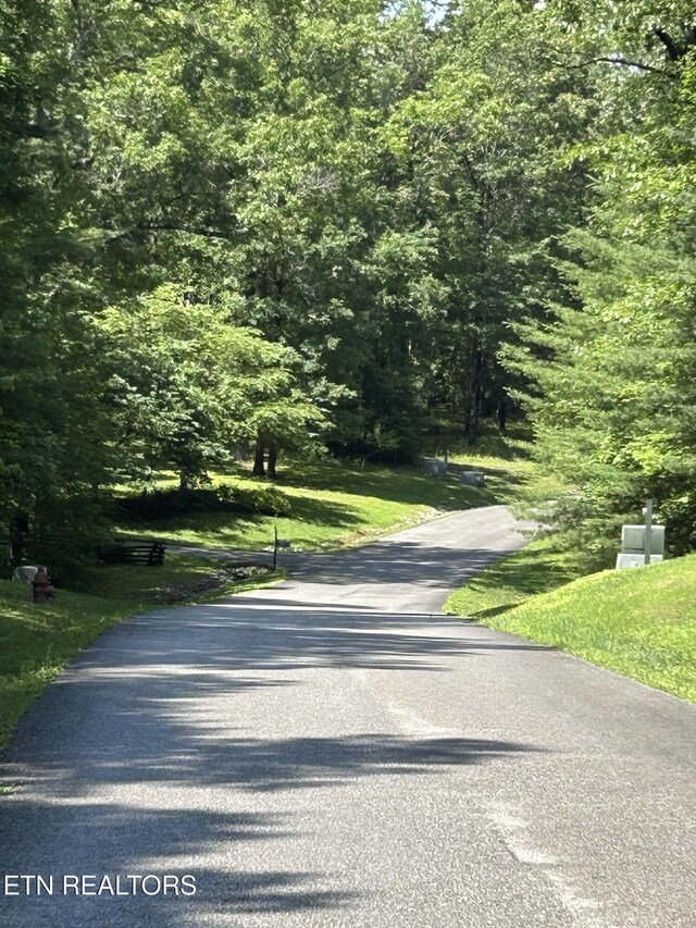 0 Bill Swain Dr, Oneida, TN 37841