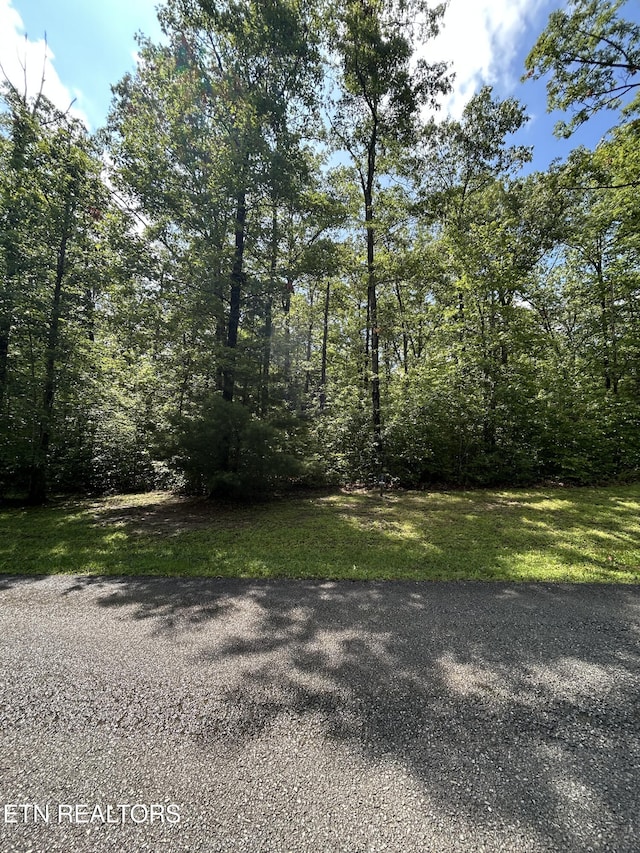 0 Bill Swain Dr, Oneida, TN 37841