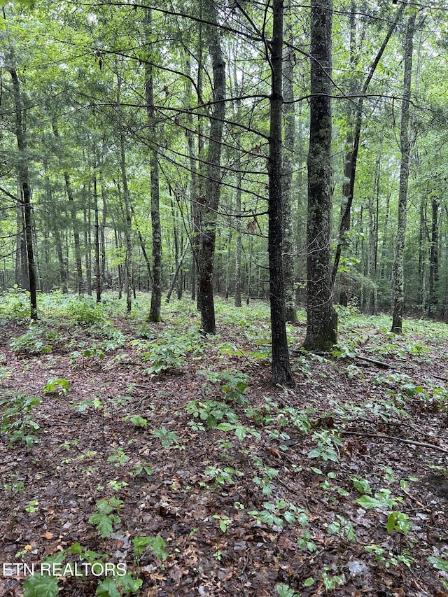 0 Bill Swain Dr, Oneida, TN 37841