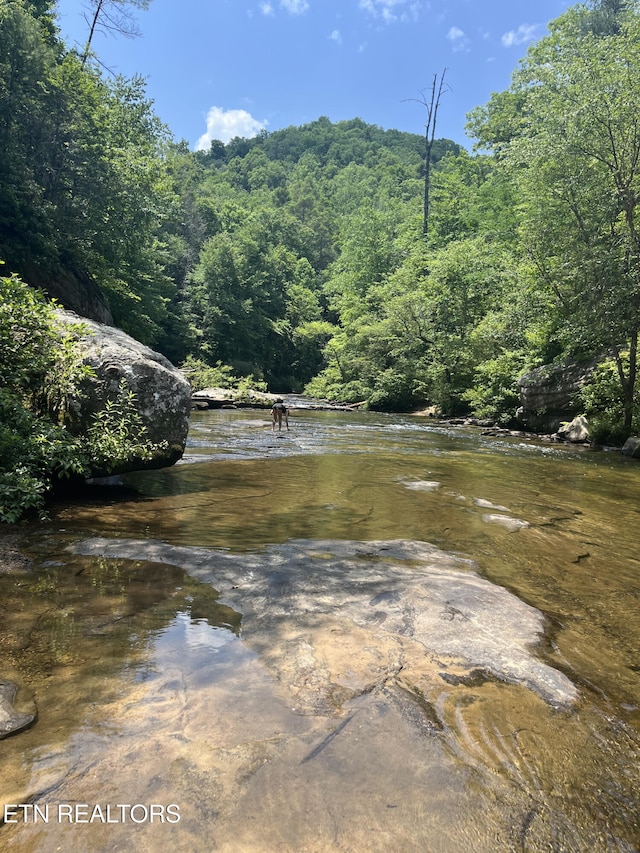 0 Bill Swain Dr, Oneida, TN 37841