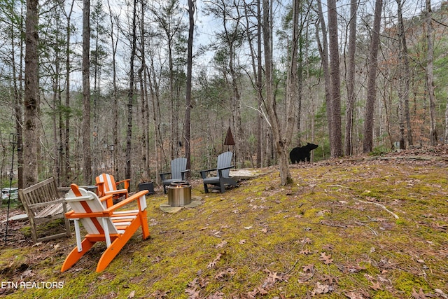 453 Mount John Loop, Townsend, TN 37882 - view of yard featuring a wooded view