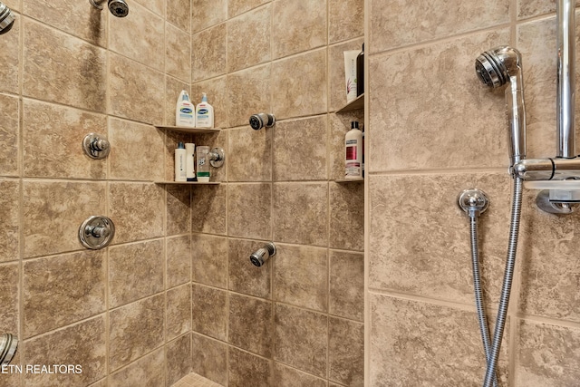 453 Mount John Loop, Townsend, TN 37882 - bathroom view of a tile shower