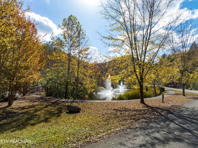 453 Mount John Loop, Townsend, TN 37882 - surrounding community
