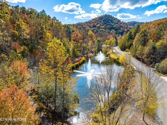453 Mount John Loop, Townsend, TN 37882 - water view featuring a forest and a mountain backdrop