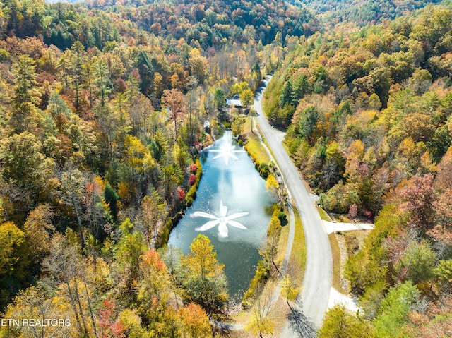 453 Mount John Loop, Townsend, TN 37882 - aerial view of a forest and a nearby body of water