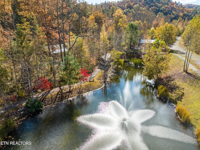 453 Mount John Loop, Townsend, TN 37882 - water view with a forest