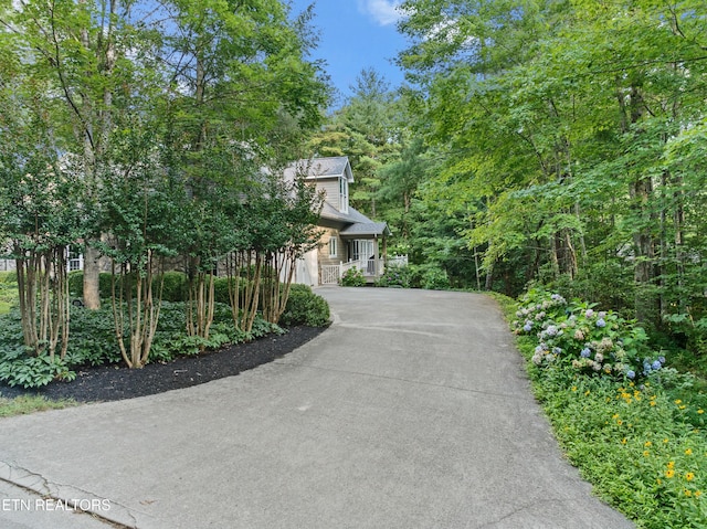453 Mount John Loop, Townsend, TN 37882 - photo 57