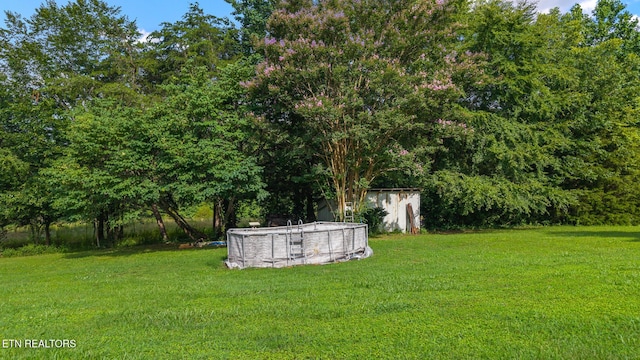 205 County Road 652, Athens, TN 37303 - view of green lawn featuring a shed and an outdoor pool