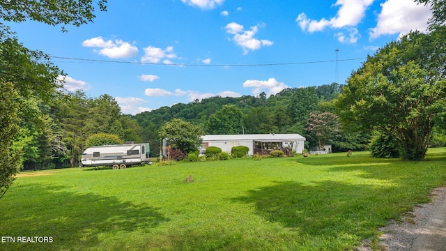 205 County Road 652, Athens, TN 37303 - view of grassy yard with a view of trees