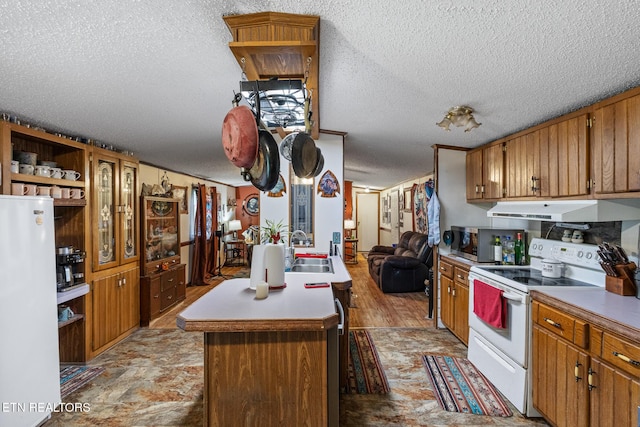 205 County Road 652, Athens, TN 37303 - kitchen with electric stove, exhaust hood, refrigerator, a textured ceiling, and stainless steel microwave