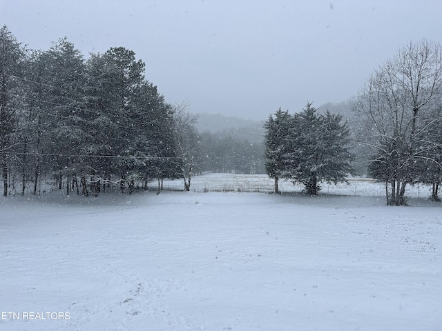 205 County Road 652, Athens, TN 37303 - view of snowy yard