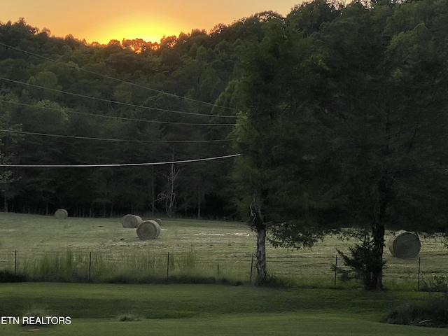 205 County Road 652, Athens, TN 37303 - view of yard featuring a view of trees