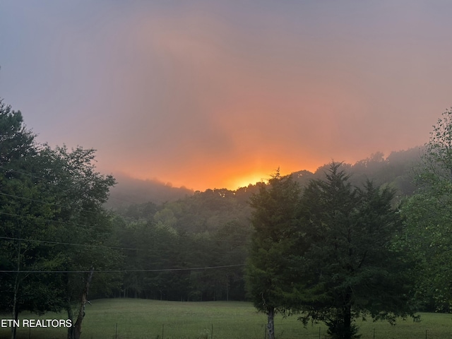 205 County Road 652, Athens, TN 37303 - view of mountain background with a heavily wooded area