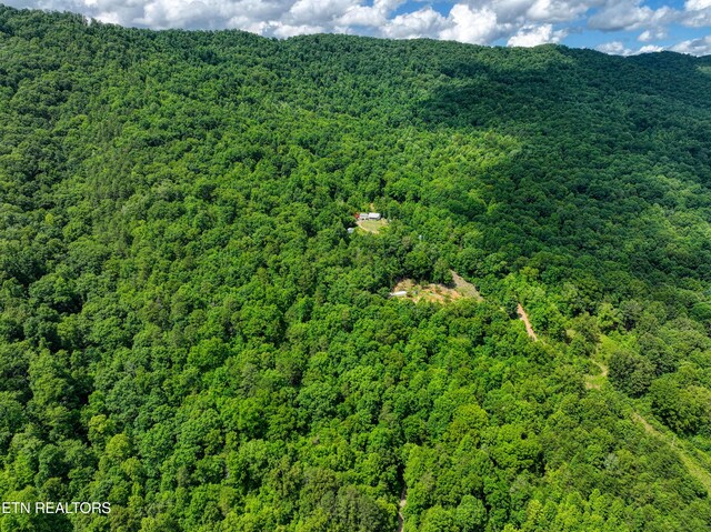 5271 Vardy Blackwater Rd, Sneedville, TN 37869 - drone / aerial view of a forest