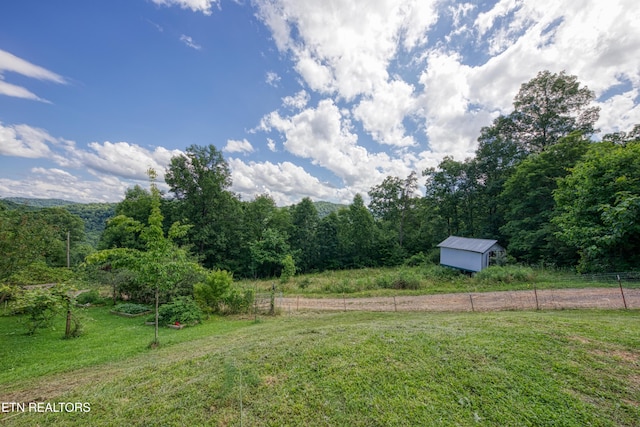 5271 Vardy Blackwater Rd, Sneedville, TN 37869 - view of yard with a forest view and a storage unit