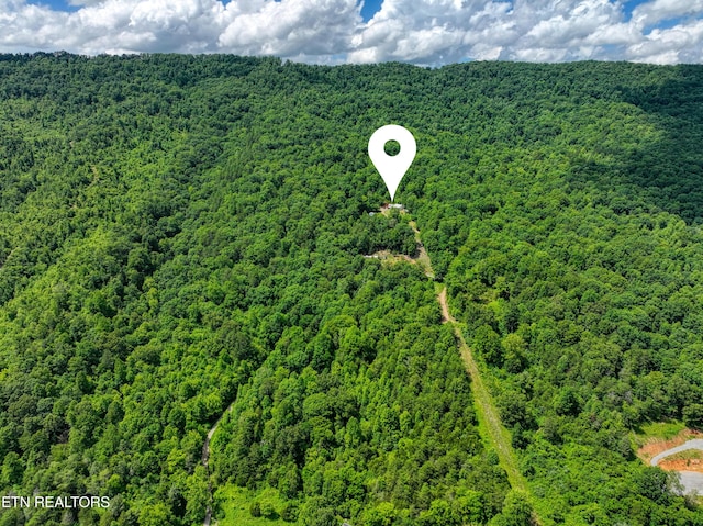 5271 Vardy Blackwater Rd, Sneedville, TN 37869 - bird's eye view of a forest