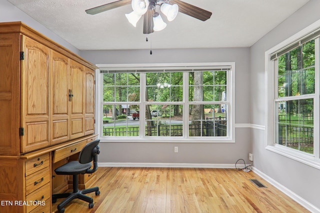 317 Fallen Oak Cir, Seymour, TN 37865 - office featuring healthy amount of natural light, wood finished floors, and a ceiling fan