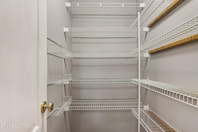 317 Fallen Oak Cir, Seymour, TN 37865 - view of pantry