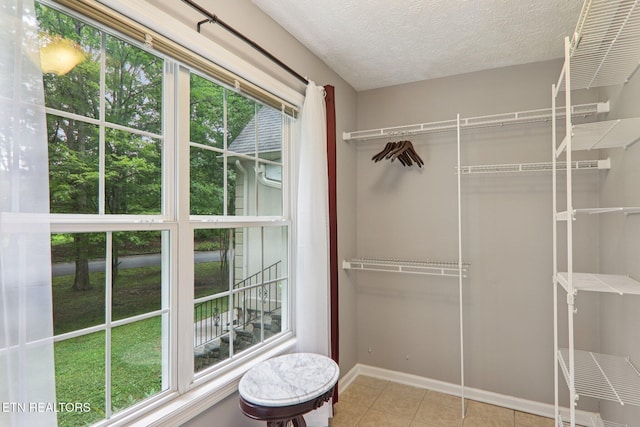 317 Fallen Oak Cir, Seymour, TN 37865 - spacious closet featuring tile patterned floors