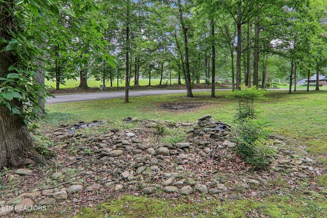 317 Fallen Oak Cir, Seymour, TN 37865 - view of green lawn