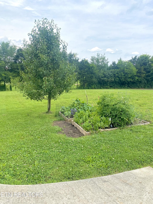155 Ramsey Rd, Maryville, TN 37801 - photo 4