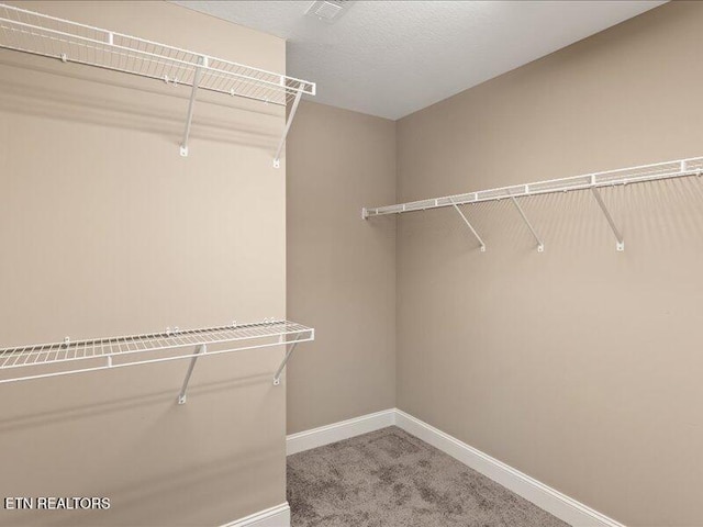 2415 Flannery Way, Powell, TN 37849 - spacious closet featuring carpet floors
