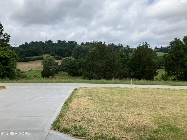 180 Sparks Landing Rd, Maynardville, TN 37807 - view of green lawn