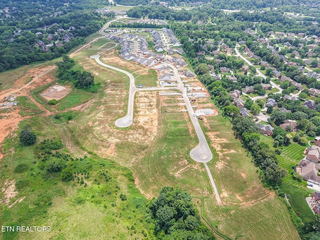 438 Ivey Farms Ln, Farragut, TN 37934 - photo 8