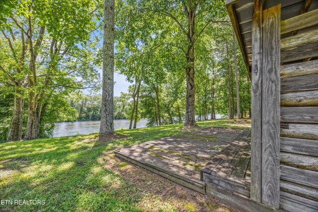 284 Savannah Shores Dr, Delano, TN 37325 - photo 29