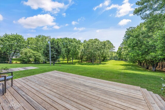 284 Savannah Shores Dr, Delano, TN 37325 - photo 30