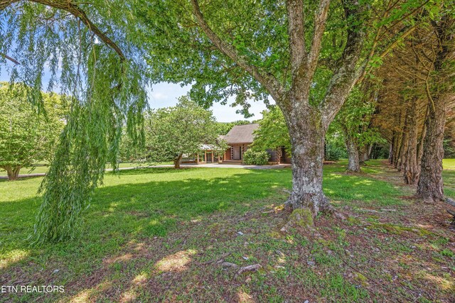 284 Savannah Shores Dr, Delano, TN 37325 - photo 31