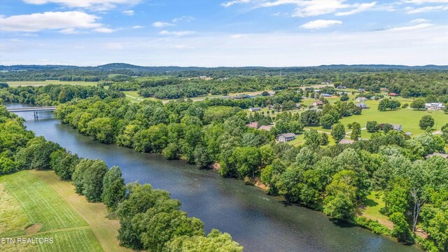 284 Savannah Shores Dr, Delano, TN 37325 - photo 34