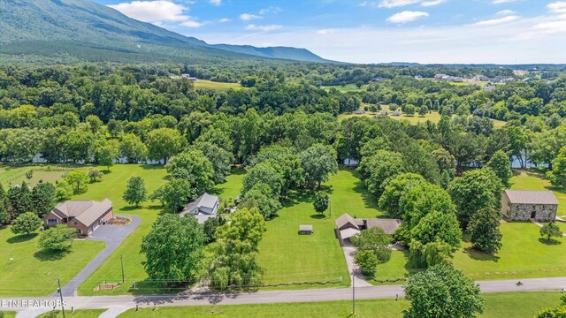 284 Savannah Shores Dr, Delano, TN 37325 - photo 36