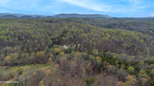 489 Hickory Grove Rd, Madisonville, TN 37354 - photo 6