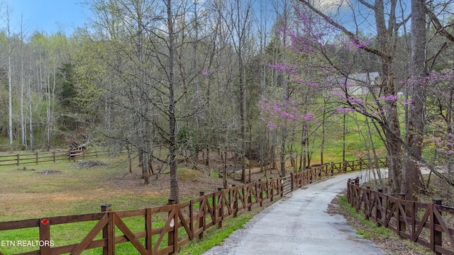 489 Hickory Grove Rd, Madisonville, TN 37354 - photo 17