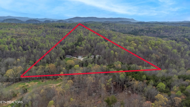 489 Hickory Grove Rd, Madisonville, TN 37354 - photo 18