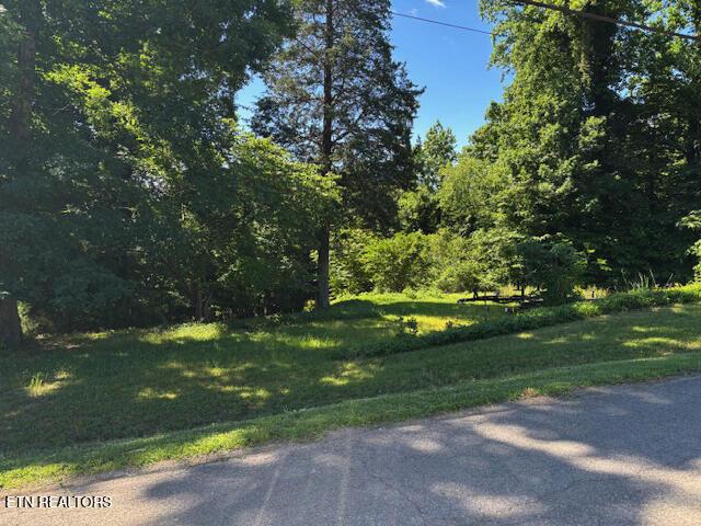 0 Topside Rd, Knoxville, TN 37920 - photo 3