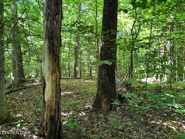 0 Topside Rd, Knoxville, TN 37920 - photo 4