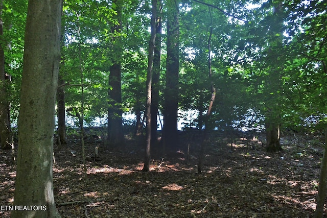 0 Topside Rd, Knoxville, TN 37920 - photo 5