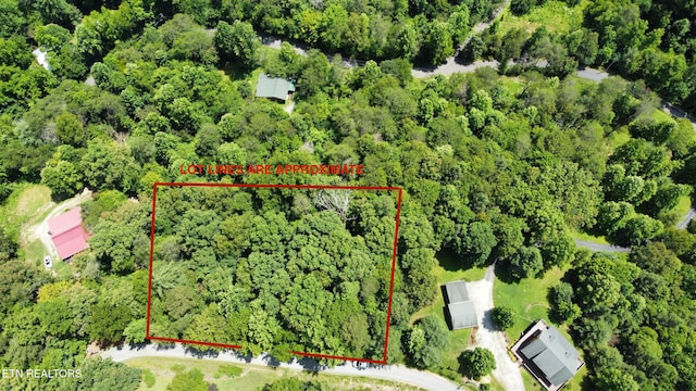 Cove Hollow Rd, Cosby, TN 37722
